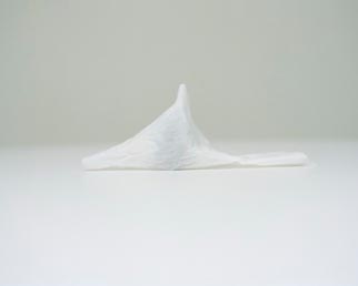 Tissue 1